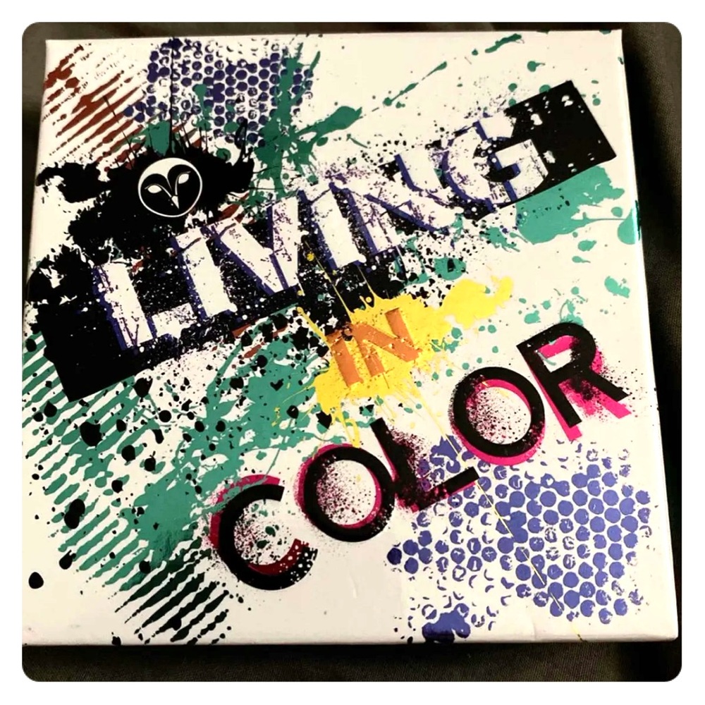 Hank and Henry Living in Color Eyeshadow Palette